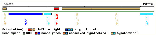 gene map