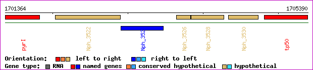 gene map