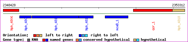 gene map