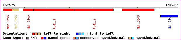 gene map