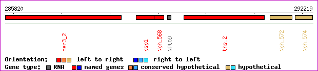 gene map