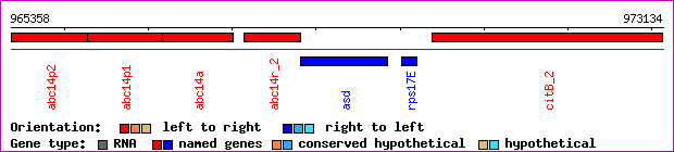 gene map