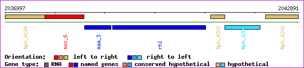 gene map