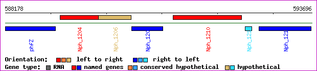 gene map