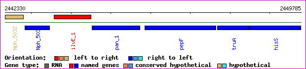 gene map