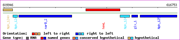 gene map