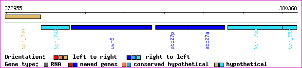 gene map