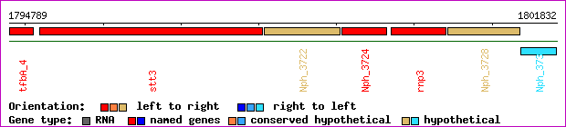 gene map
