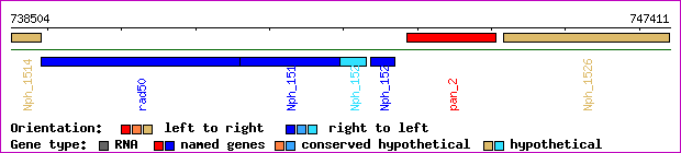 gene map