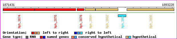 gene map