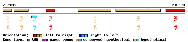gene map