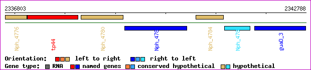 gene map