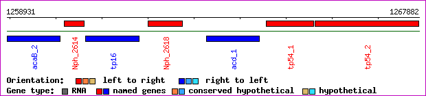 gene map