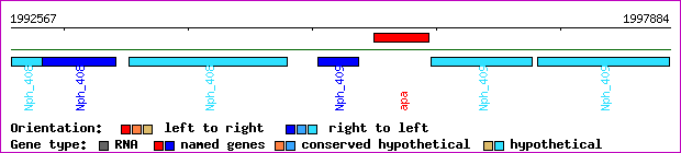 gene map