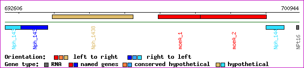 gene map