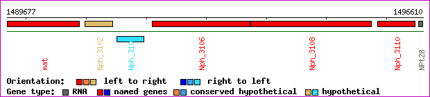 gene map