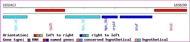 gene map