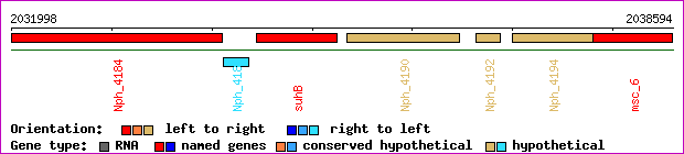gene map