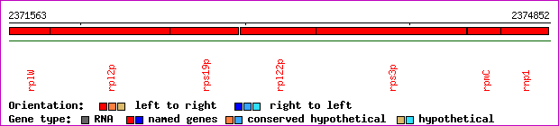 gene map
