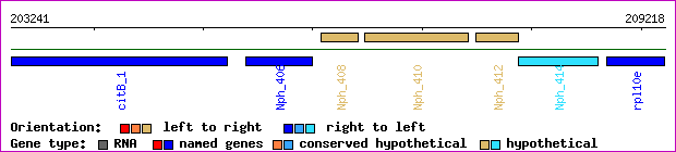 gene map