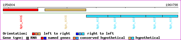 gene map