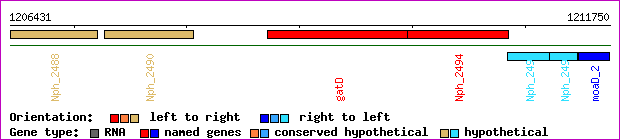gene map