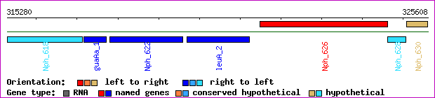 gene map