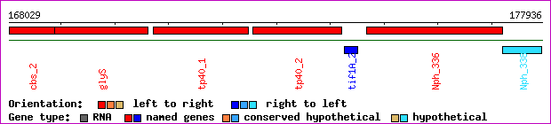 gene map