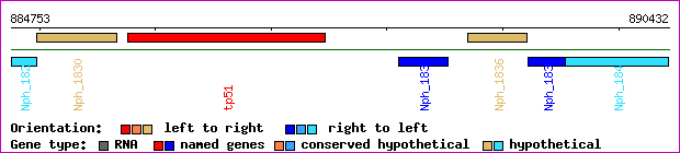 gene map