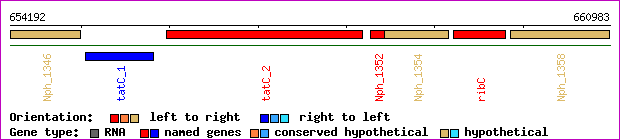 gene map