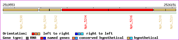 gene map
