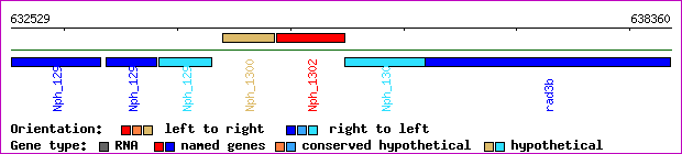 gene map