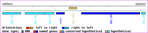 gene map