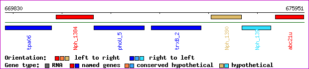 gene map
