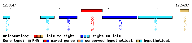gene map