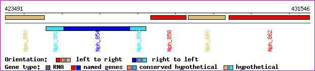 gene map