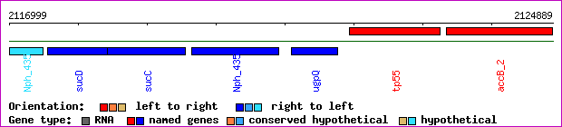 gene map