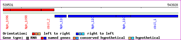 gene map