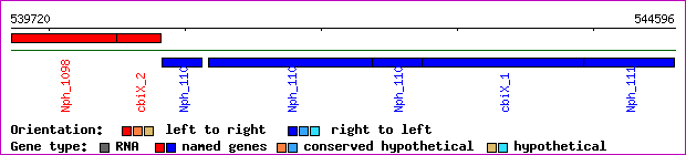 gene map