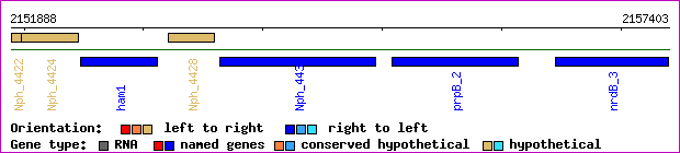 gene map