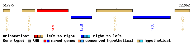 gene map