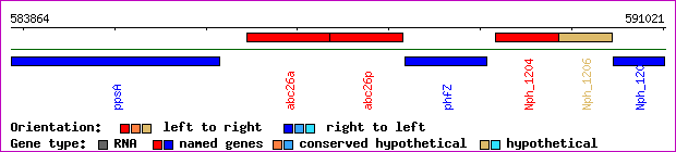 gene map