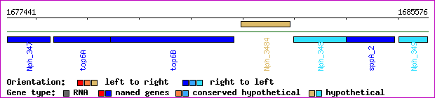gene map