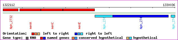 gene map