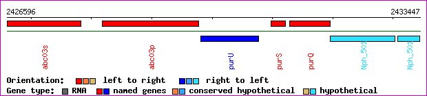 gene map