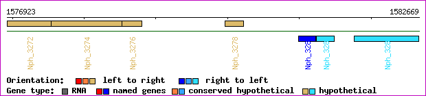 gene map