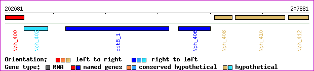 gene map