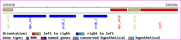 gene map