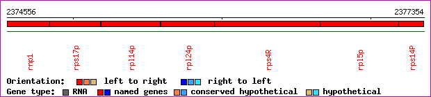 gene map