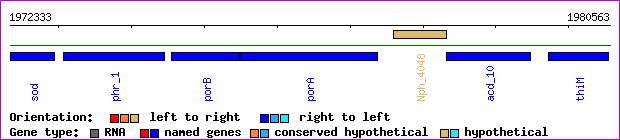 gene map